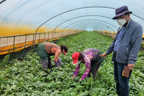 6차농업 고도화로 유통, 판매망을 확대해 농가소득 향상